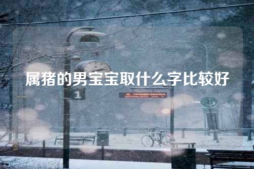 属猪的男宝宝取什么字比较好