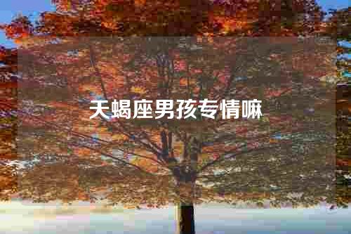天蝎座男孩专情嘛