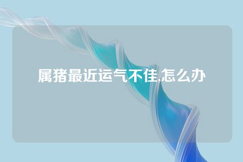 属猪最近运气不佳,怎么办