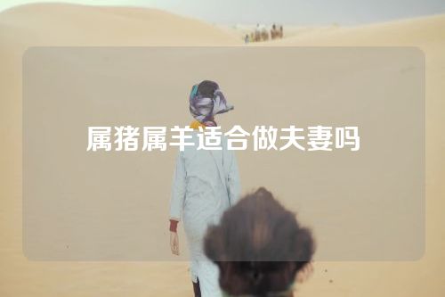 属猪属羊适合做夫妻吗