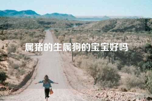 属猪的生属狗的宝宝好吗