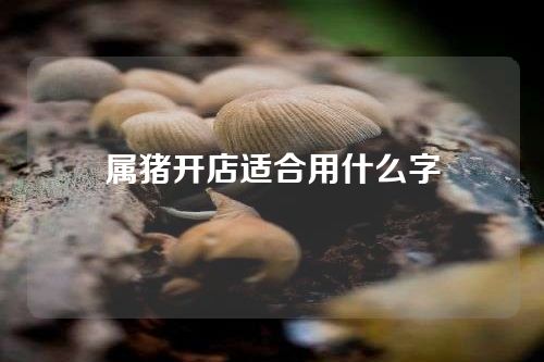 属猪开店适合用什么字