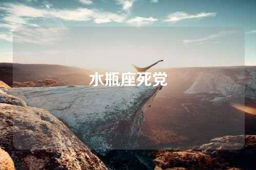 水瓶座死党