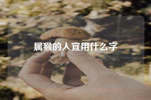 属猴的人宜用什么字