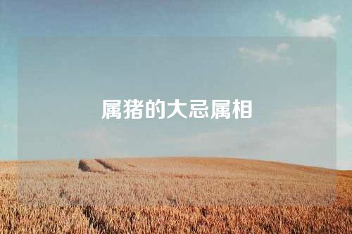 属猪的大忌属相