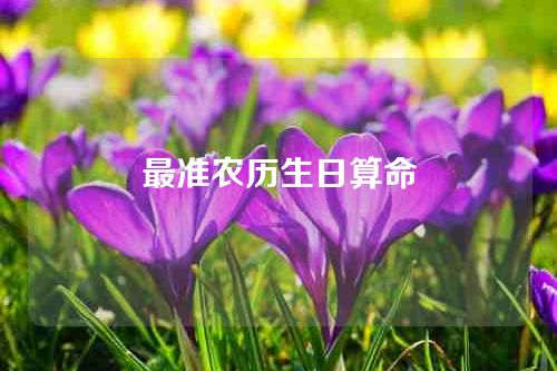 最准农历生日算命