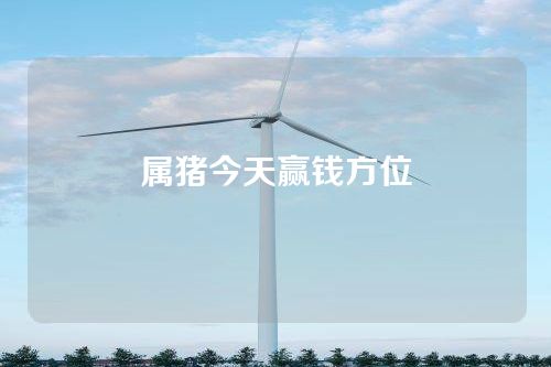 属猪今天赢钱方位