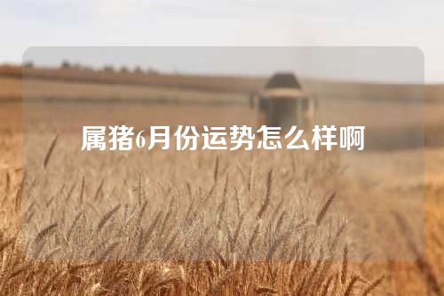 属猪6月份运势怎么样啊