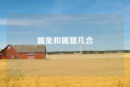 属兔和属猪几合