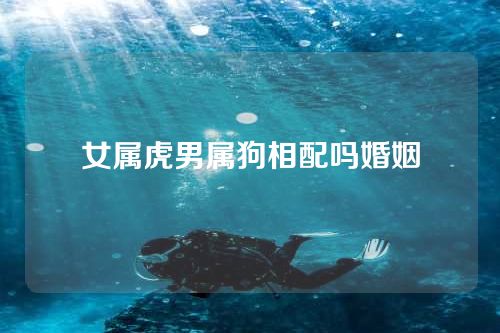 女属虎男属狗相配吗婚姻