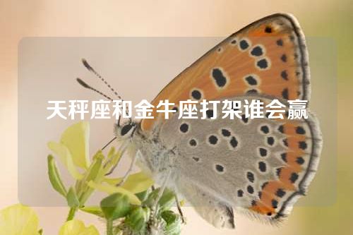 天秤座和金牛座打架谁会赢
