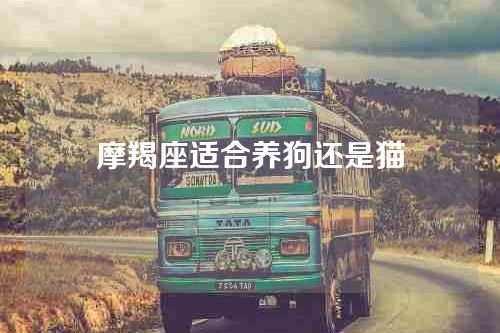 摩羯座适合养狗还是猫