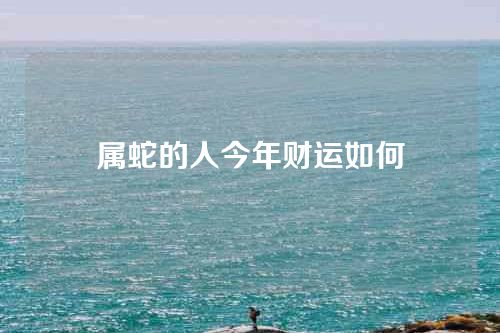 属蛇的人今年财运如何