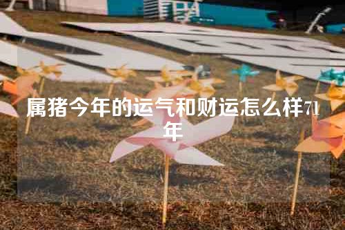 属猪今年的运气和财运怎么样71年