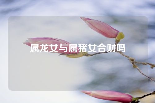属龙女与属猪女合财吗
