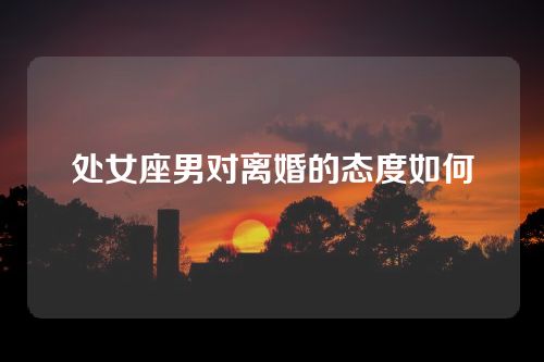 处女座男对离婚的态度如何