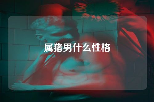 属猪男什么性格