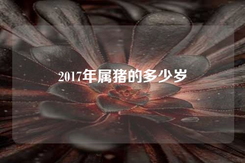 2017年属猪的多少岁
