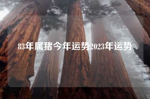 83年属猪今年运势2023年运势