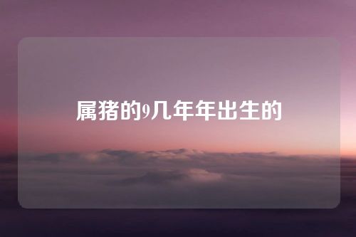 属猪的9几年年出生的