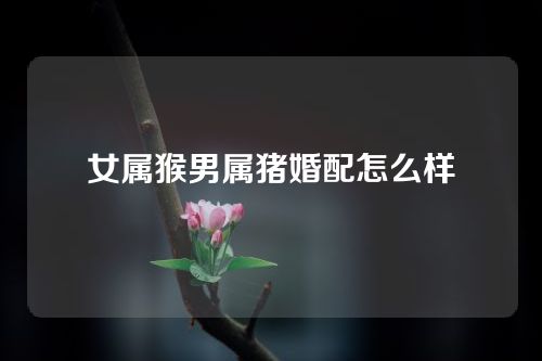 女属猴男属猪婚配怎么样