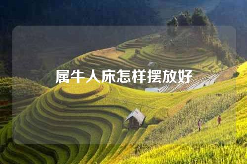属牛人床怎样摆放好