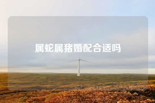 属蛇属猪婚配合适吗