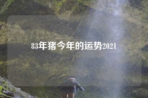 83年猪今年的运势2021