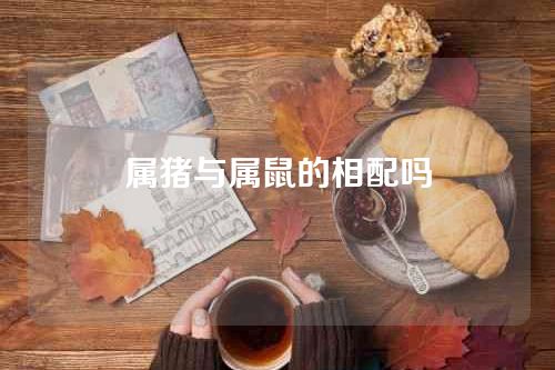 属猪与属鼠的相配吗