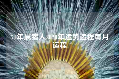 71年属猪人2020年运势运程每月运程