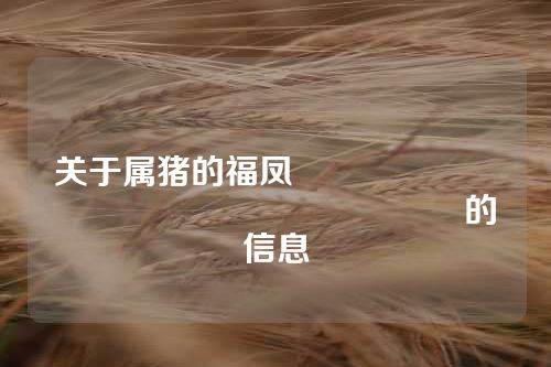 关于属猪的福凤																			的信息