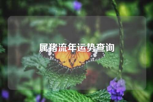 属猪流年运势查询