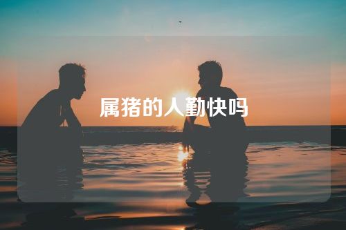 属猪的人勤快吗