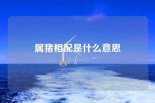 属猪相配是什么意思