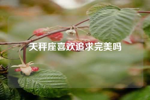 天秤座喜欢追求完美吗