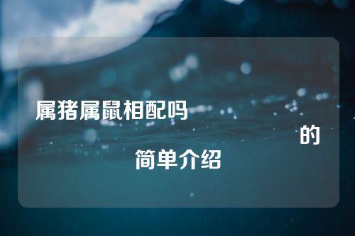 属猪属鼠相配吗																			的简单介绍