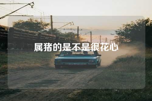 属猪的是不是很花心