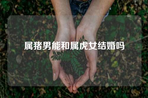 属猪男能和属虎女结婚吗