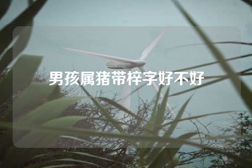 男孩属猪带梓字好不好