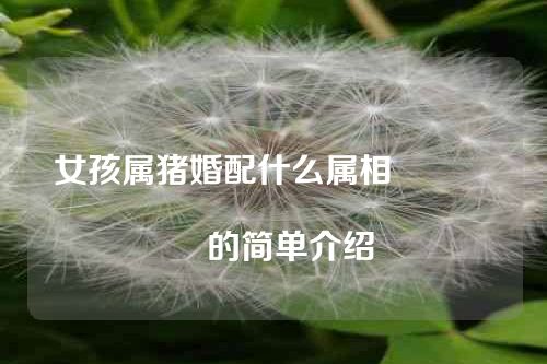 女孩属猪婚配什么属相																			的简单介绍