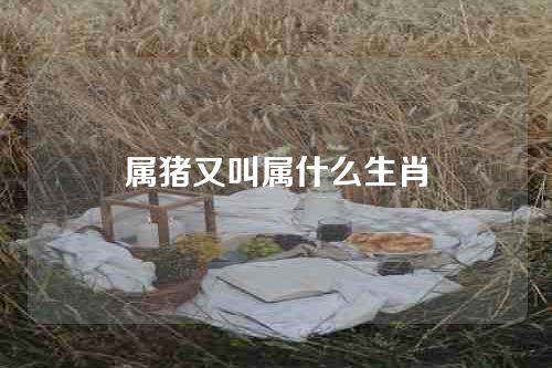 属猪又叫属什么生肖