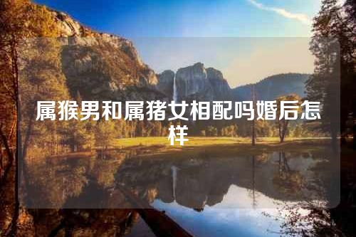 属猴男和属猪女相配吗婚后怎样