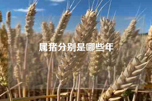 属猪分别是哪些年