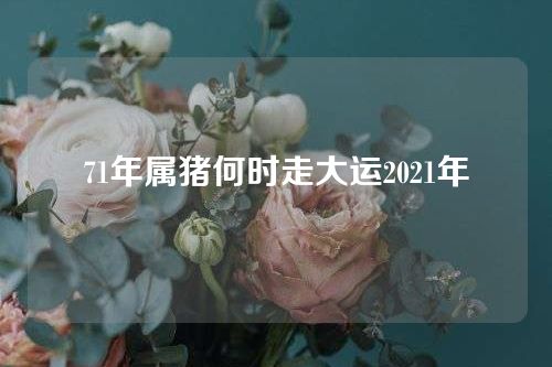 71年属猪何时走大运2021年