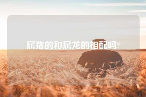 属猪的和属龙的相配吗?