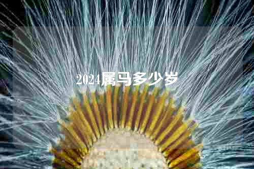 2024属马多少岁