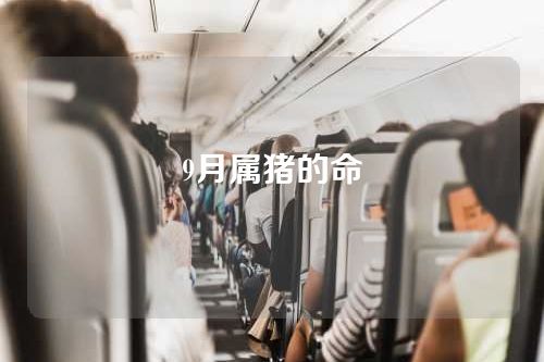 9月属猪的命