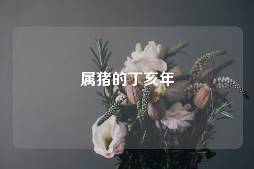 属猪的丁亥年