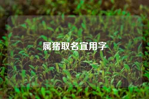 属猪取名宜用字