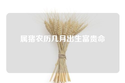 属猪农历几月出生富贵命
